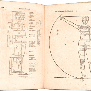 Beschryvinghe von Albrecht Dürer van die Menschelijcke Proportion (Tratado sobre las proporciones del cuerpo humano)